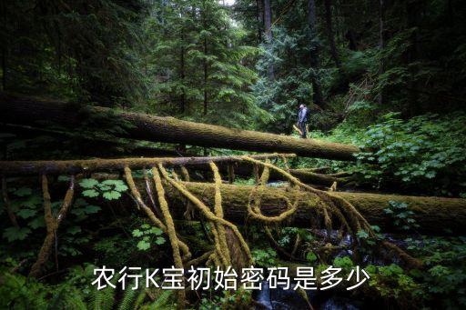 農(nóng)行K寶初始密碼是多少