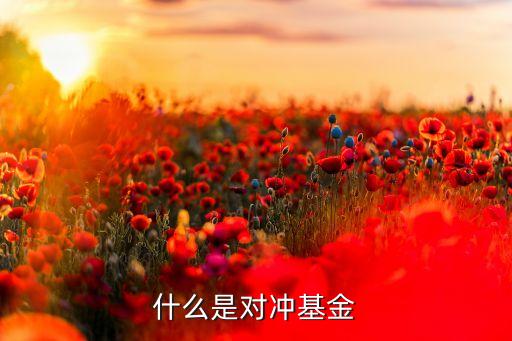 對沖基金到底是什么 pdf，什么是對沖基金