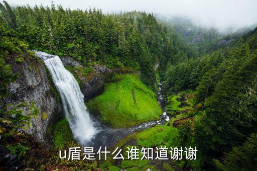 什么叫數(shù)字證書u盾，什么是U盾