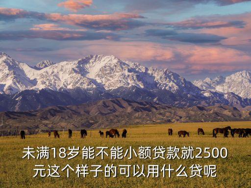 未滿18歲能不能小額貸款就2500元這個(gè)樣子的可以用什么貸呢