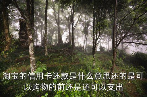 淘寶的信用卡還款是什么意思還的是可以購物的前還是還可以支出