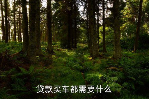 買(mǎi)車(chē)辦理分期需要什么，分期付款買(mǎi)車(chē)需要什么手續(xù)