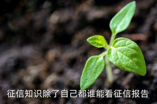 一般什么人查征信，個(gè)人征信怎么查