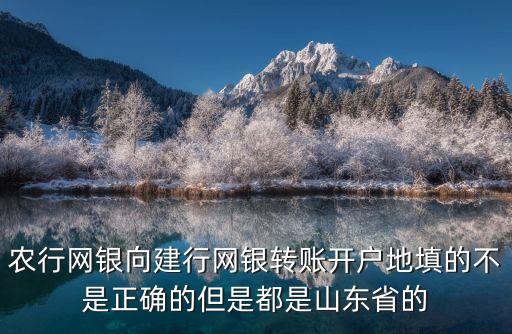 開戶地是輸什么地址，手機(jī)銀行轉(zhuǎn)賬要輸入開戶行名稱怎么輸啊