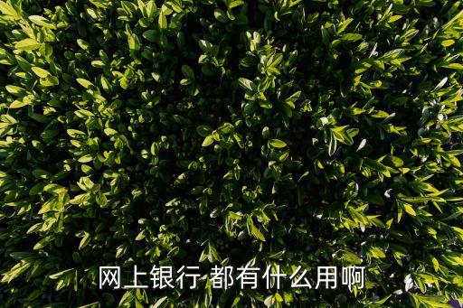 網(wǎng)上銀行干什么用的，網(wǎng)銀有什么用