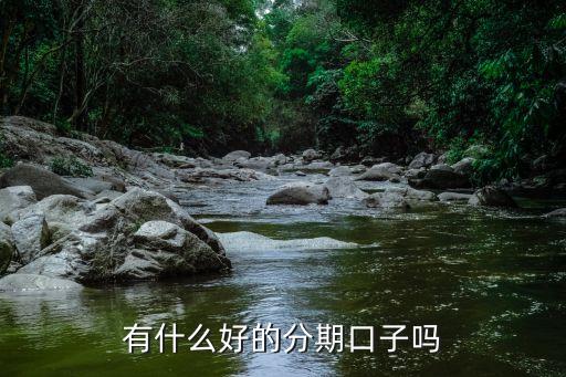 有沒有什么分期的口子，有什么好的分期口子嗎