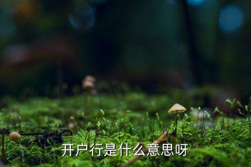 開戶行是什么意思呀