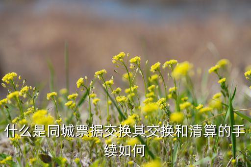 同城票交匯款是什么意思，有誰能告訴我銀行同城票據(jù)是什么意思啊怎么使用的謝謝啊