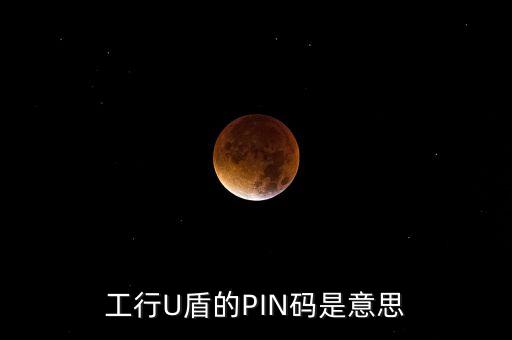 工行U盾的PIN碼是意思