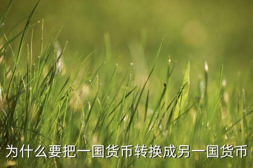為什么要換外匯，為什么要把一國(guó)貨幣轉(zhuǎn)換成另一國(guó)貨幣