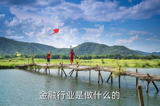 金融行業(yè)是做什么的