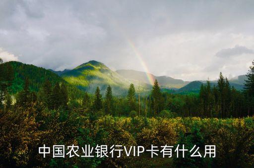中國農(nóng)業(yè)銀行VIP卡有什么用