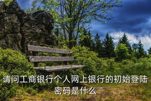 工商銀行初始登錄密碼是什么意思，工商行手機(jī)銀行首次登錄密碼是什么