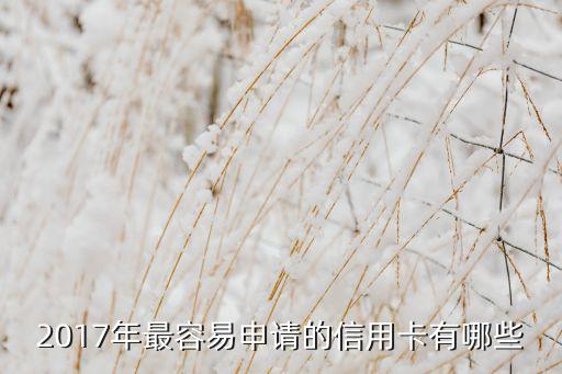 2017年最容易申請(qǐng)的信用卡有哪些