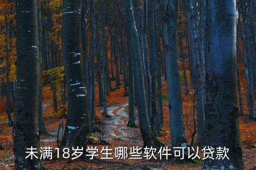 未滿18歲學(xué)生哪些軟件可以貸款