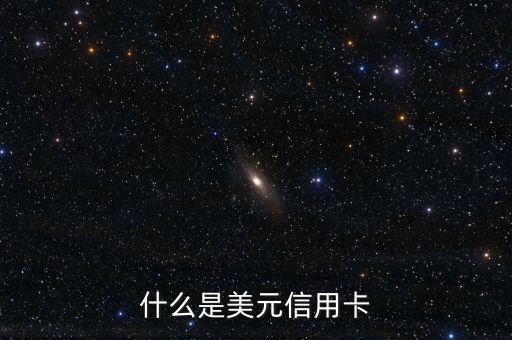 什么是美元信用卡