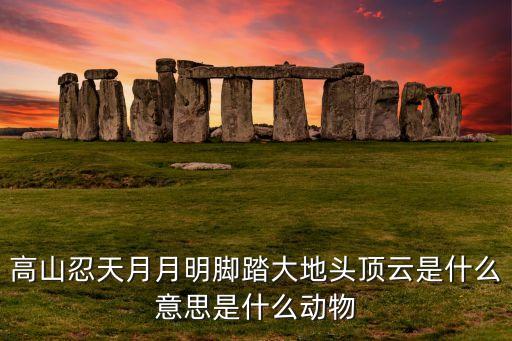 高山忍天月月明腳踏大地頭頂云是什么意思是什么動(dòng)物