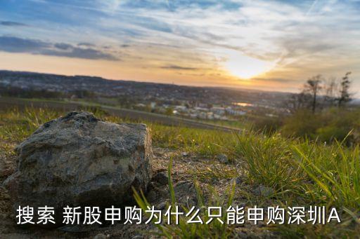 搜索 新股申購為什么只能申購深圳A