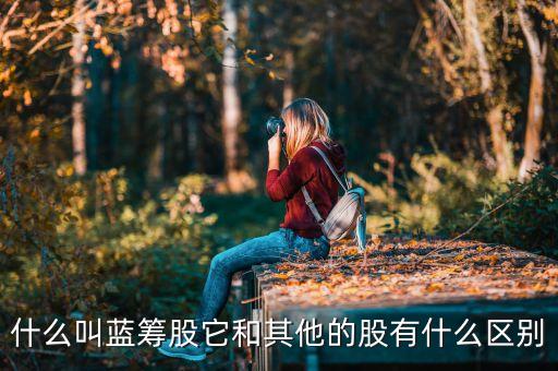 什么叫藍(lán)籌股它和其他的股有什么區(qū)別