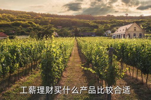 工薪理財(cái)買什么產(chǎn)品比較合適