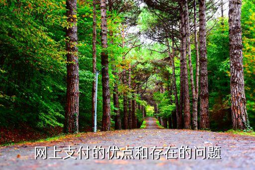 網(wǎng)絡(luò)支付的優(yōu)點是什么，網(wǎng)上支付有什么好處