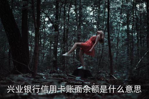 興業(yè)銀行信用卡賬面余額什么意思，興業(yè)銀行的帳面余額是什么意思