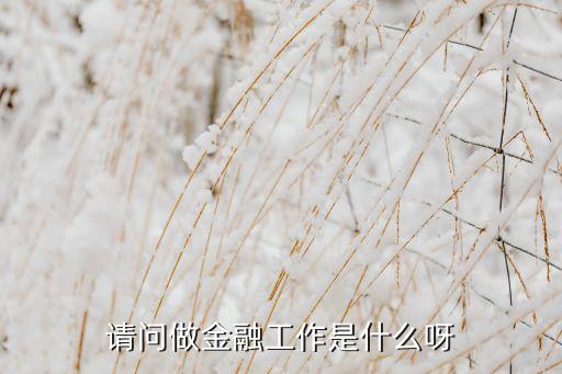 請問做金融工作是什么呀