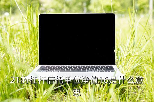 21的杠桿信托單位凈值16是什么意思