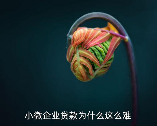 小微企業(yè)貸款為什么這么難