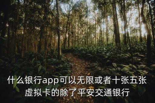 什么銀行app可以無限或者十張五張?zhí)摂M卡的除了平安交通銀行