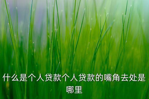 什么是個人貸款個人貸款的嘴角去處是哪里