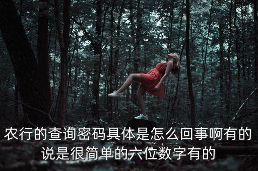 農(nóng)行的查詢密碼具體是怎么回事啊有的說(shuō)是很簡(jiǎn)單的六位數(shù)字有的