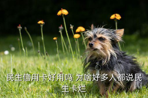 民生信用卡好用嗎 為啥好多人都說(shuō)民生卡爛