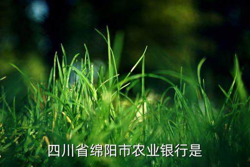 四川有什么農(nóng)業(yè)銀行，四川省西昌市大城那個(gè)農(nóng)業(yè)銀行是什么支行有人知道了嘛急