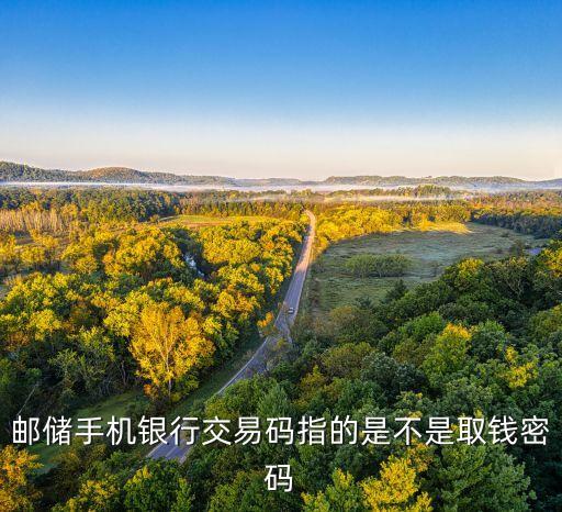 銀行卡的交易碼是什么，郵儲手機銀行交易碼指的是不是取錢密碼