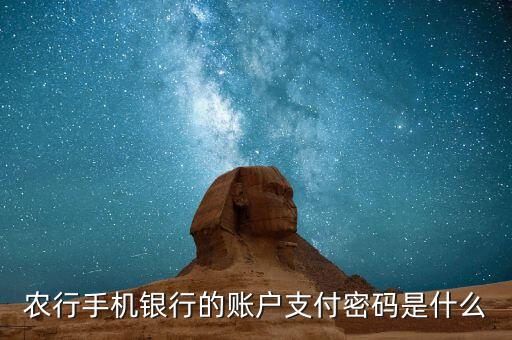 微信支付農(nóng)行如何支付密碼是什么，農(nóng)行手機銀行的賬戶支付密碼是什么