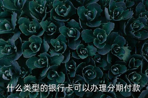 什么類型的銀行卡可以辦理分期付款