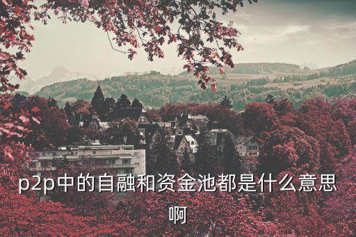 p2p中的自融和資金池都是什么意思啊