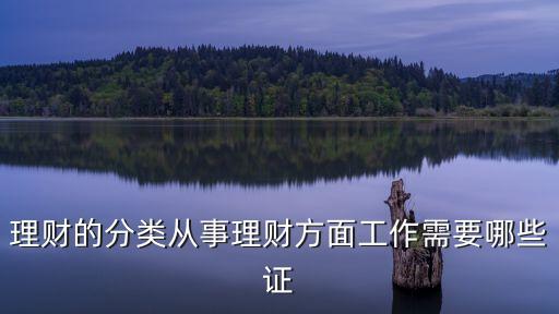 理財?shù)姆诸悘氖吕碡敺矫婀ぷ餍枰男┳C