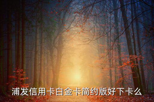 浦發(fā)白金卡為什么好下，浦發(fā)銀行信用卡容易下卡嗎 提供了以下材料 01身份證正反復(fù)印件