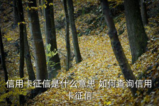 信用卡征信是什么意思 如何查詢信用卡征信