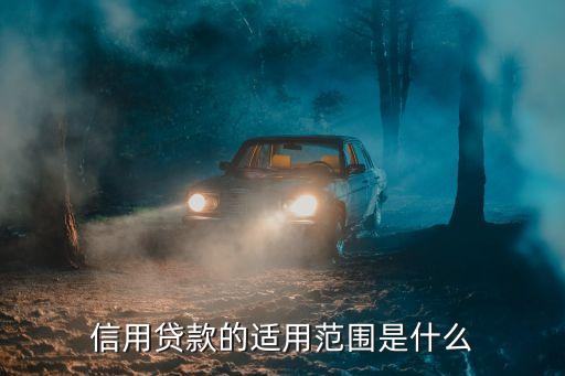 信用貸款用途是什么，信用貸款的適用范圍是什么