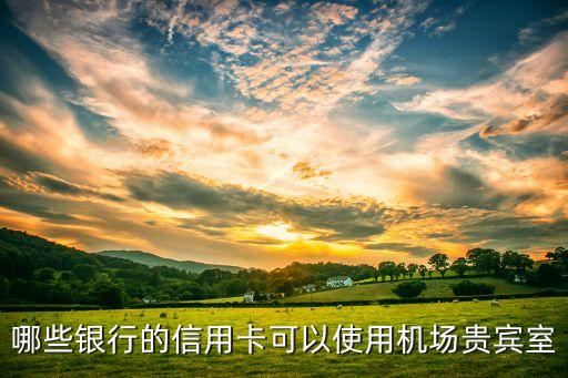 避風(fēng)塘刷什么信用卡，哪些銀行的信用卡可以使用機(jī)場(chǎng)貴賓室