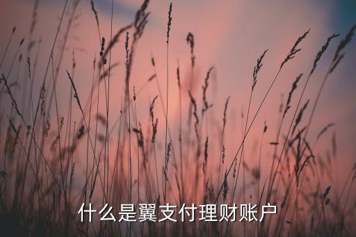 電信的是什么理財(cái)，什么是翼支付理財(cái)賬戶