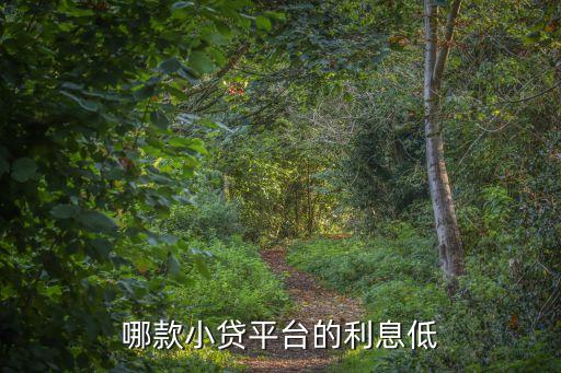 什么平臺貨款5萬利息低，我我想貸款5萬 最好是分24到36期還 有哪個利息低的平臺