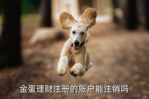 金蛋理財怎么注冊，金米理財如何注冊