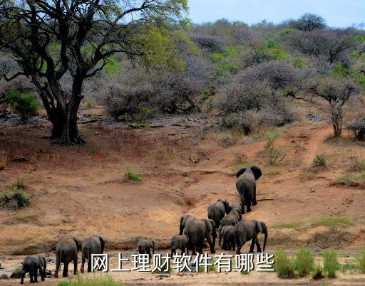 智能理財(cái)網(wǎng)站有什么，網(wǎng)上理財(cái)軟件有哪些
