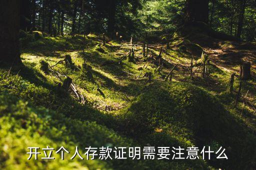 開立個人存款證明需要注意什么