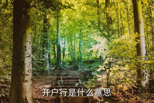 開戶行是什么意思，開戶行是什么意思