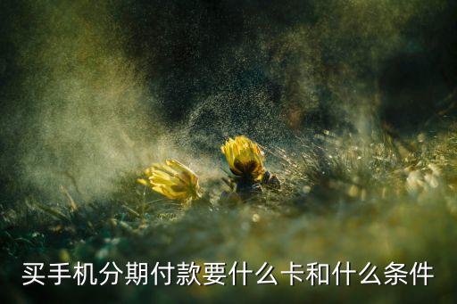 辦分期需要什么銀行卡，哪個(gè)銀行辦理分期付款的卡最好辦